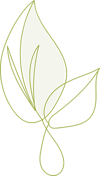 leaf h2 1