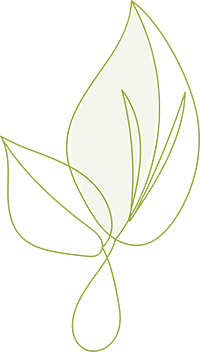 leaf h2 2